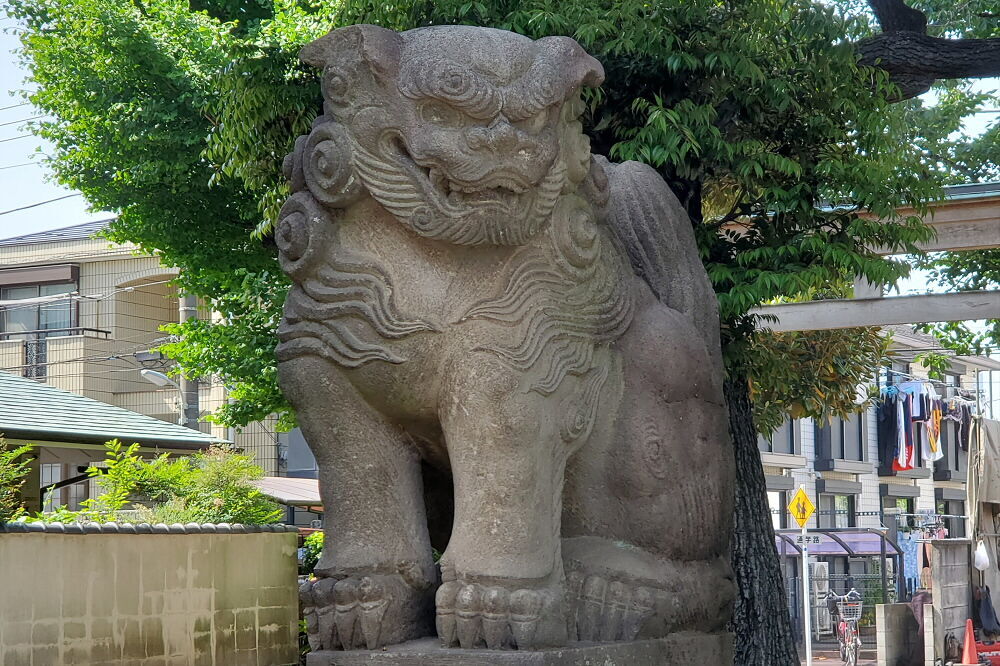 旗岡八幡神社 狛犬