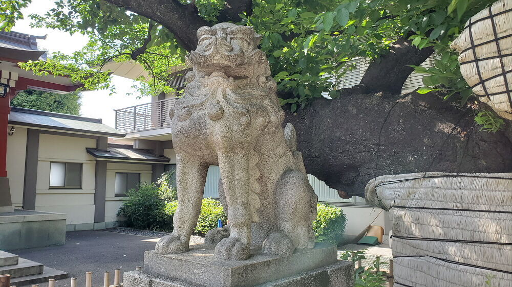 旗岡八幡神社 狛犬
