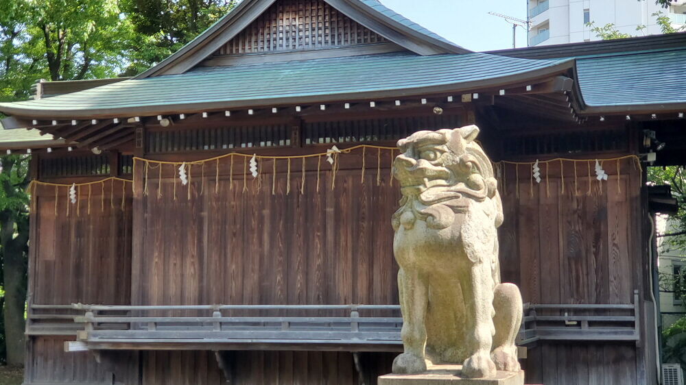 旗岡八幡神社 狛犬