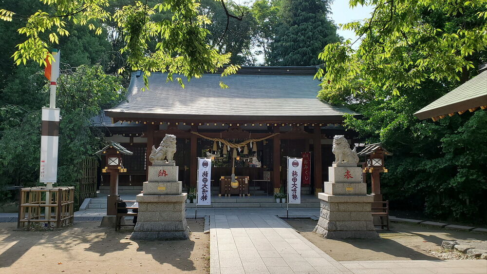 新田神社 社殿と狛犬