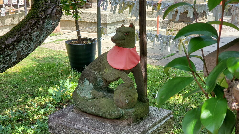 久富稲荷神社 狛狐