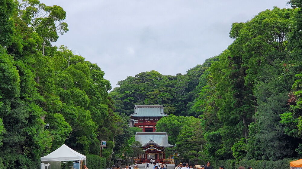 鶴岡八幡宮 舞殿と本宮