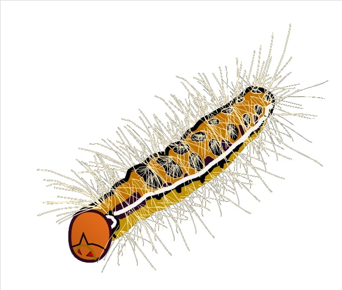 f:id:shinchaso0226:20210906155809j:plain