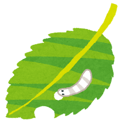 f:id:shinchaso0226:20210906155854p:plain