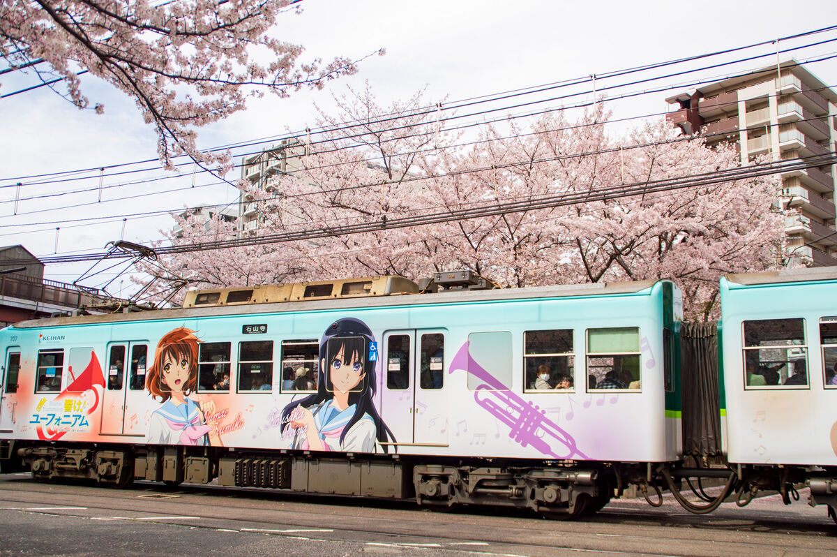 響け！ユーフォニアム』ラッピング列車と三井寺の桜を見に行ってきた