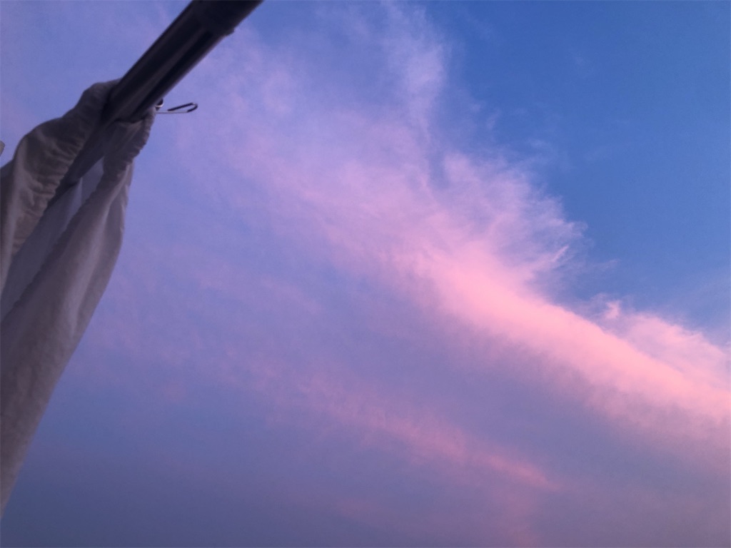 f:id:shindo06:20220618002649j:image