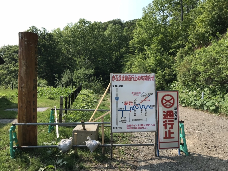 白神山地の巨木マザーツリー折れる直前 18年最後の勇姿 アクセス紹介と訪問記 おトクnana なとらっぷ