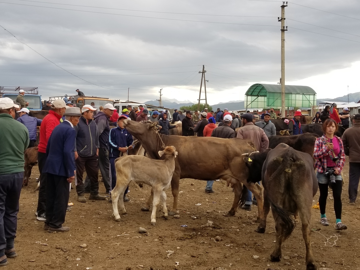 f:id:shinee5chang:20190818211026j:plain