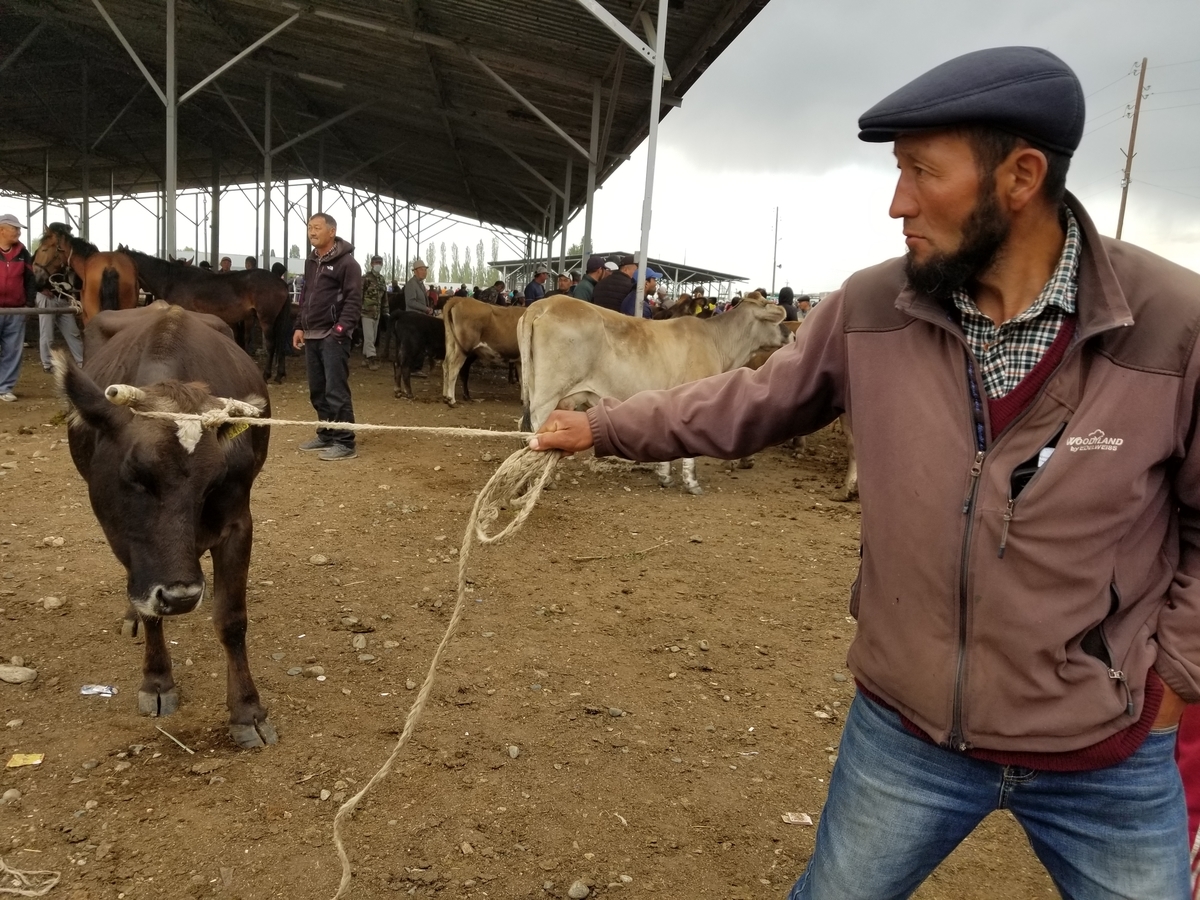 f:id:shinee5chang:20190818211102j:plain