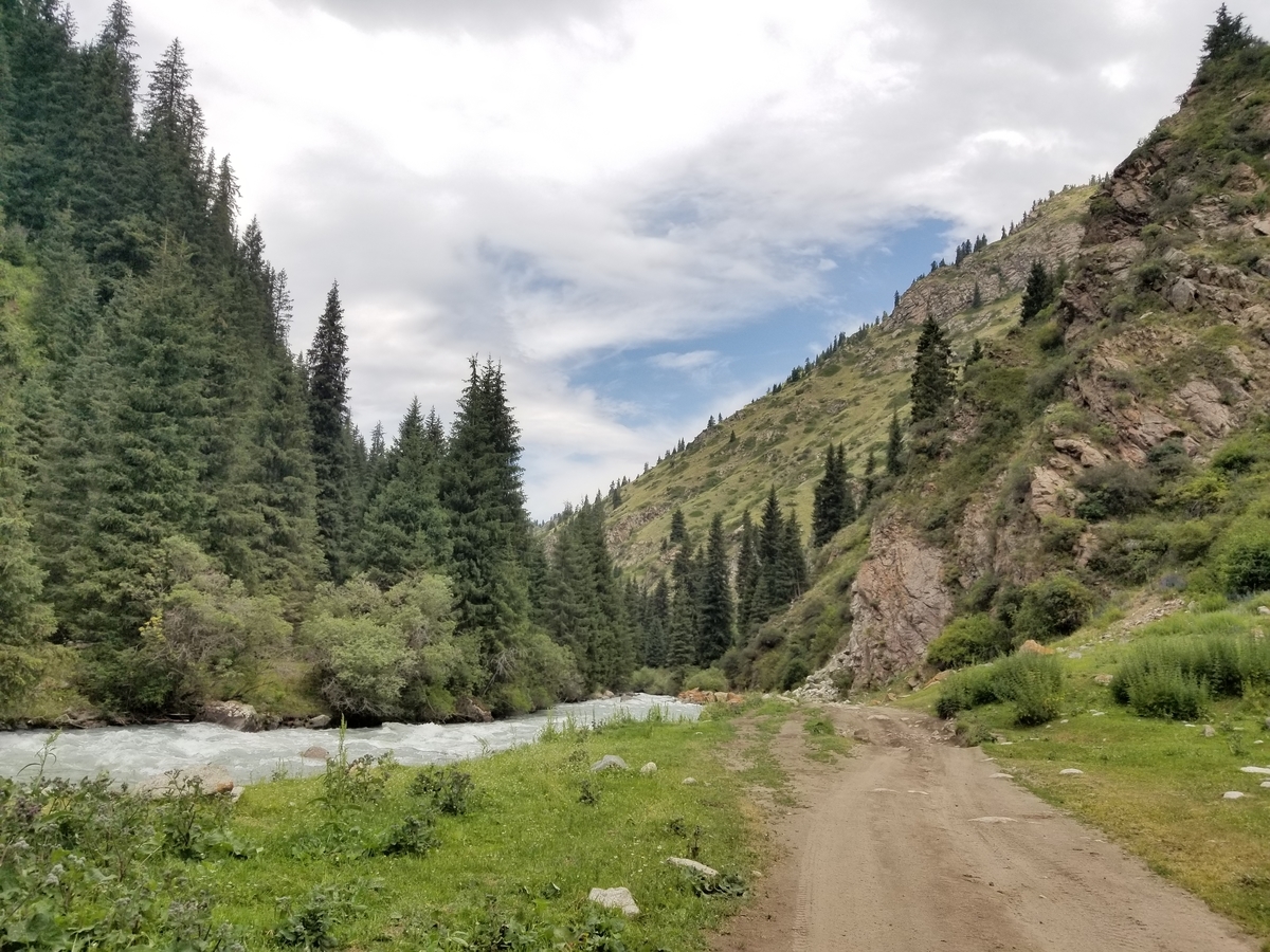 f:id:shinee5chang:20190818224740j:plain