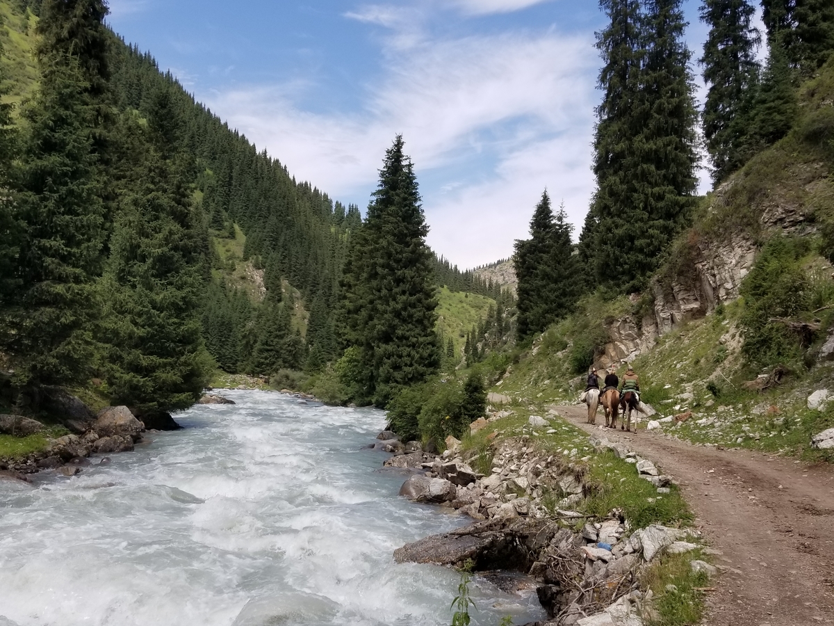 f:id:shinee5chang:20190818224851j:plain