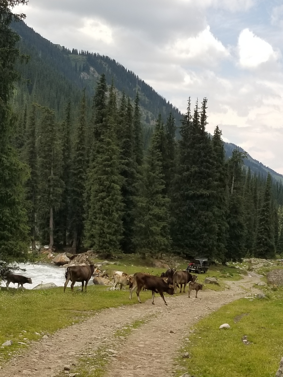 f:id:shinee5chang:20190818225103j:plain