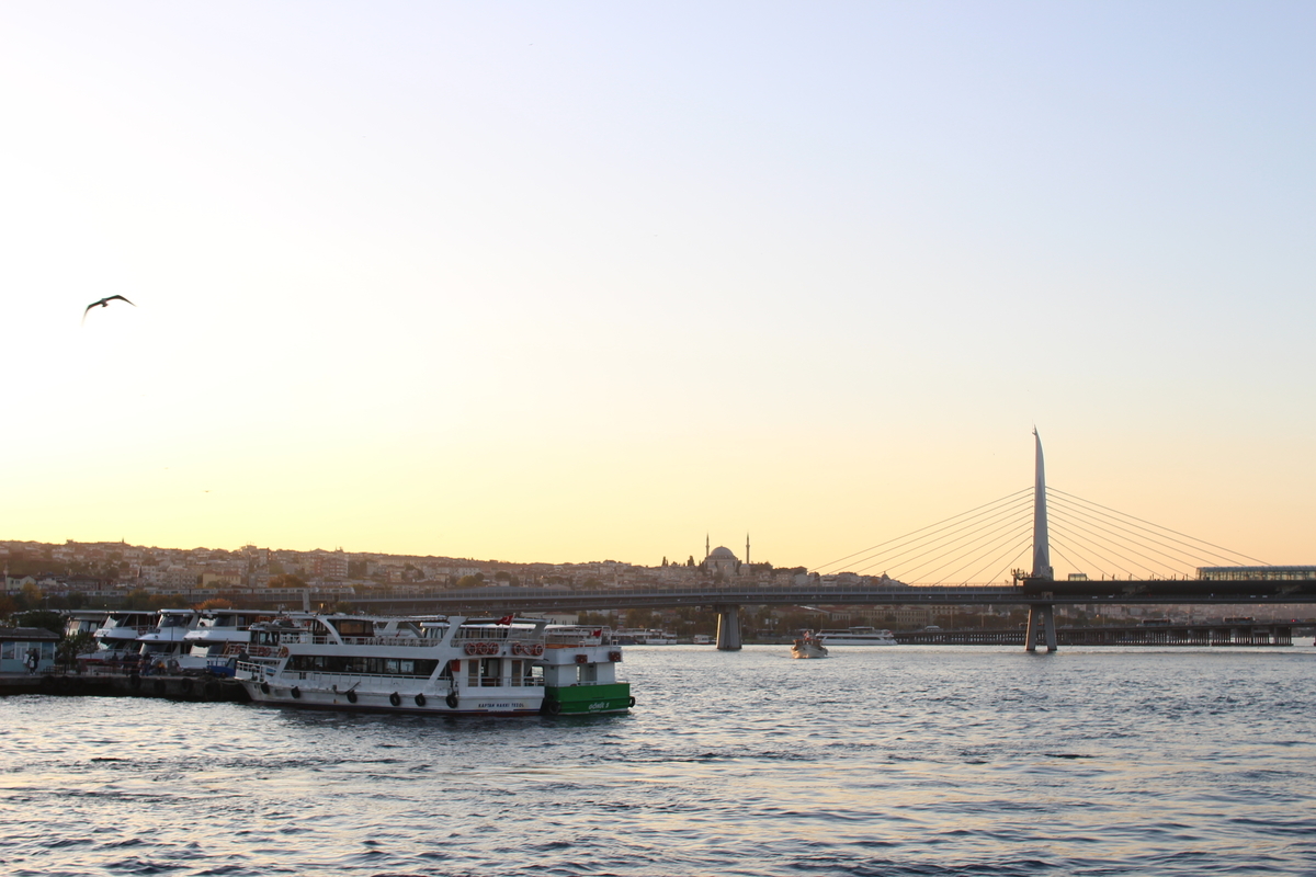 f:id:shinee5chang:20191211182750j:plain f:id:shinee5chang:20191211182750j:plain