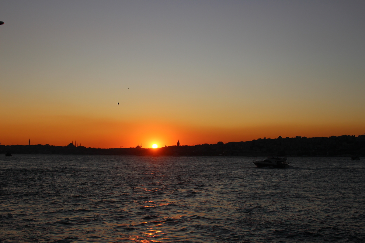 f:id:shinee5chang:20191212111829j:plain f:id:shinee5chang:20191212111829j:plain