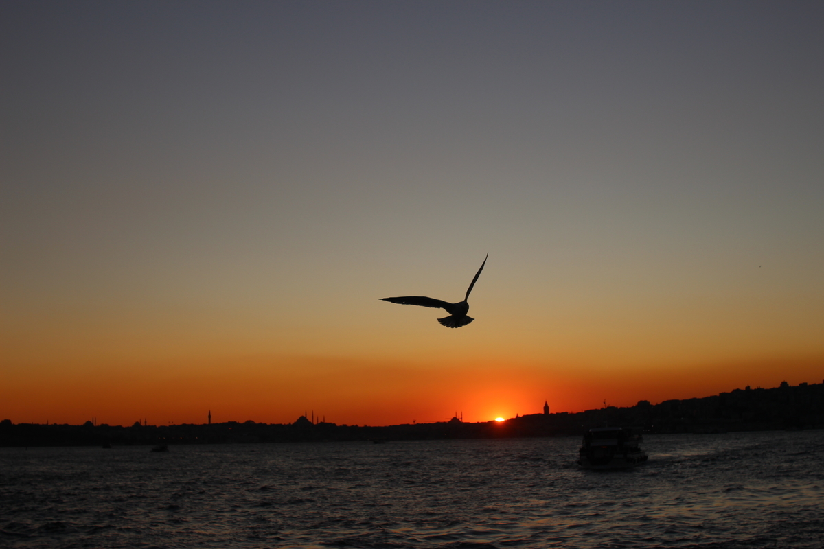 f:id:shinee5chang:20191212111946j:plain f:id:shinee5chang:20191212111946j:plain