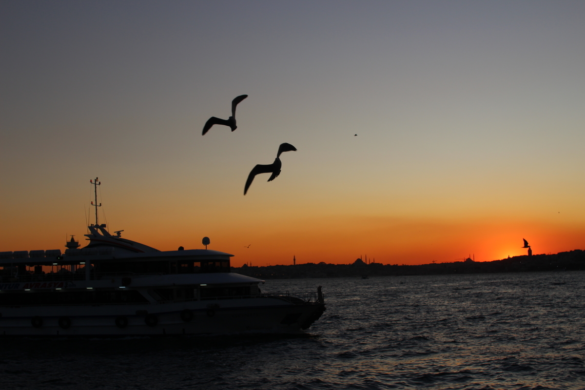 f:id:shinee5chang:20191212112611j:plain f:id:shinee5chang:20191212112611j:plain