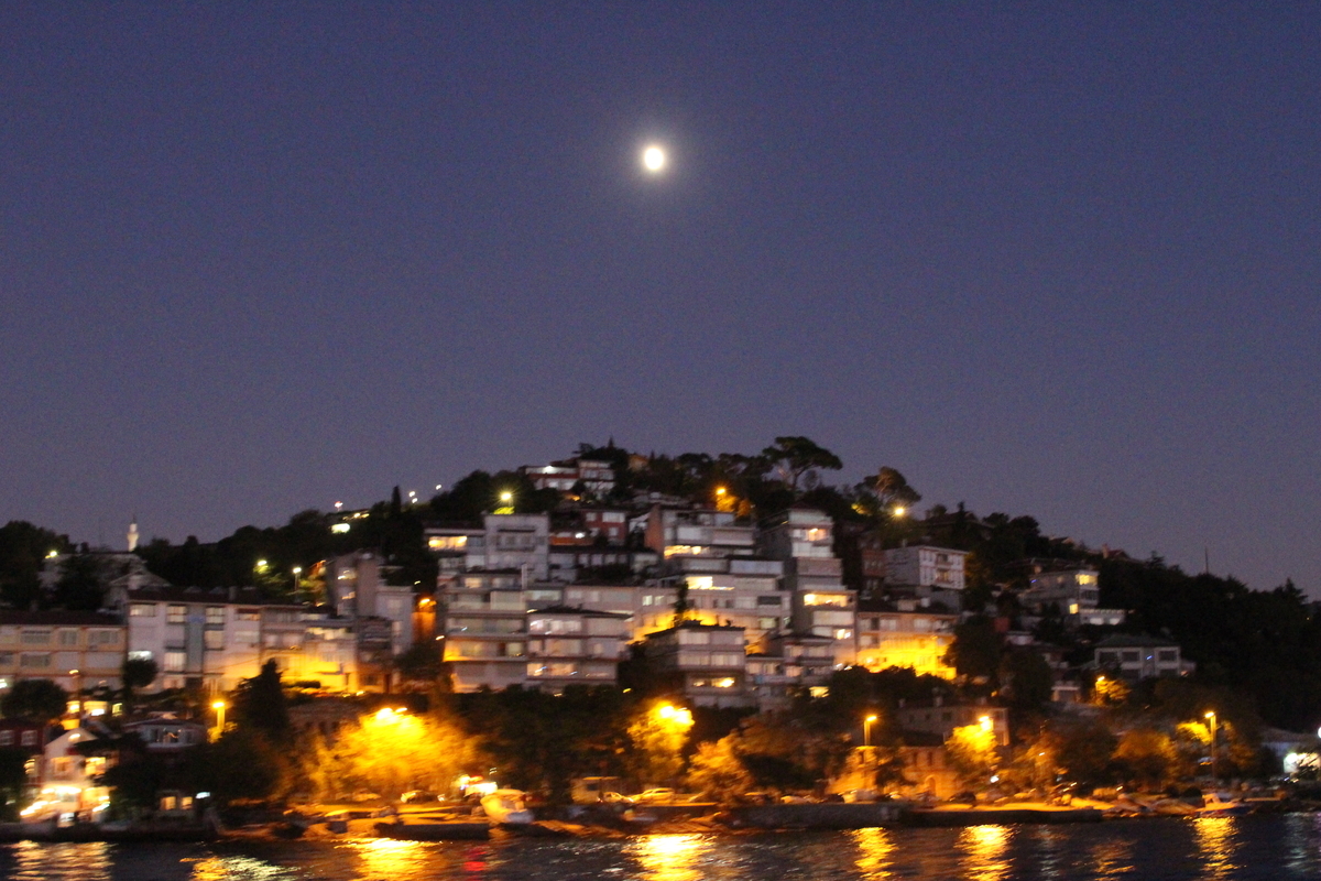 f:id:shinee5chang:20191212113231j:plain f:id:shinee5chang:20191212113231j:plain