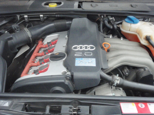 f:id:shineijapan:20191016121656j:plain