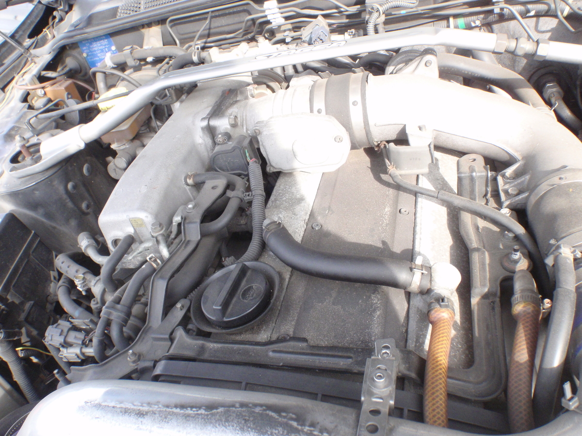 f:id:shineijapan:20210107093830j:plain