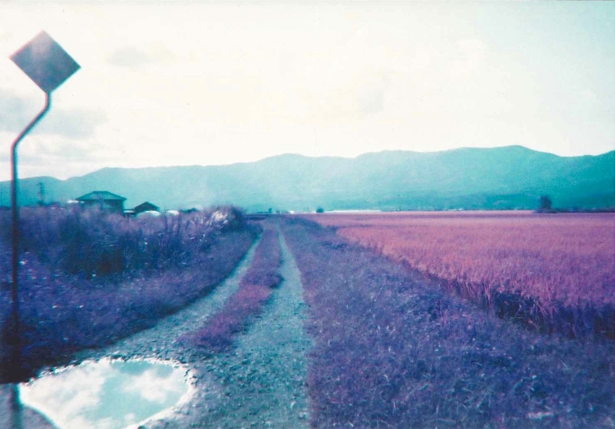 f:id:shineri-pocket:20190627183112j:plain