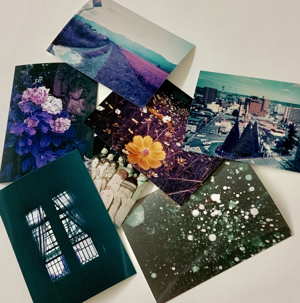 f:id:shineri-pocket:20190627221610j:plain