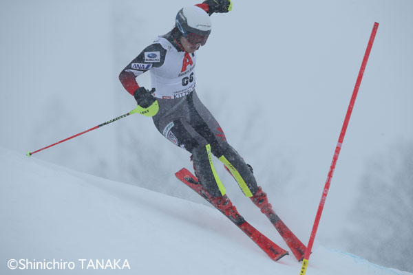 f:id:shinfotograf:20190126231444j:plain f:id:shinfotograf:20190126231444j:plain