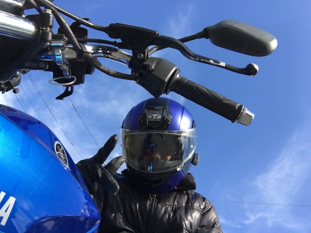 f:id:shingaryu:20161021014747j:plain f:id:shingaryu:20161021014747j:plain