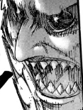 f:id:shingeki4946:20190203224622p:plain