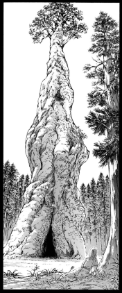 f:id:shingeki4946:20200520220224p:plain