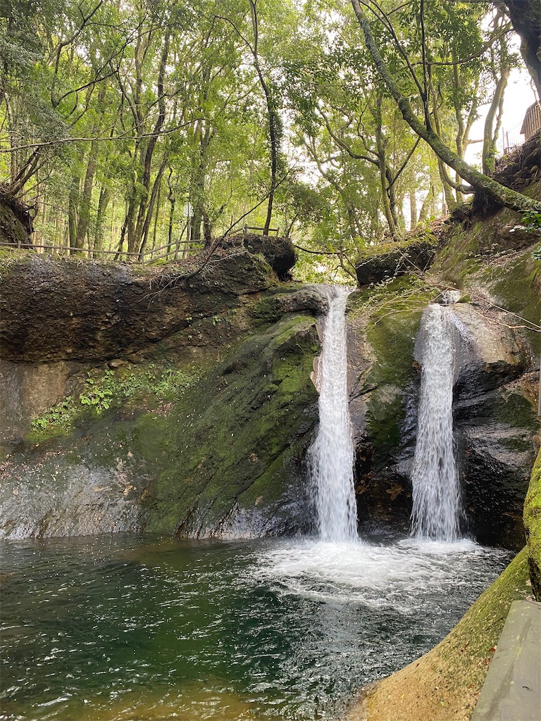 f:id:shingekinousagi33:20210315121736j:image f:id:shingekinousagi33:20210315121736j:image