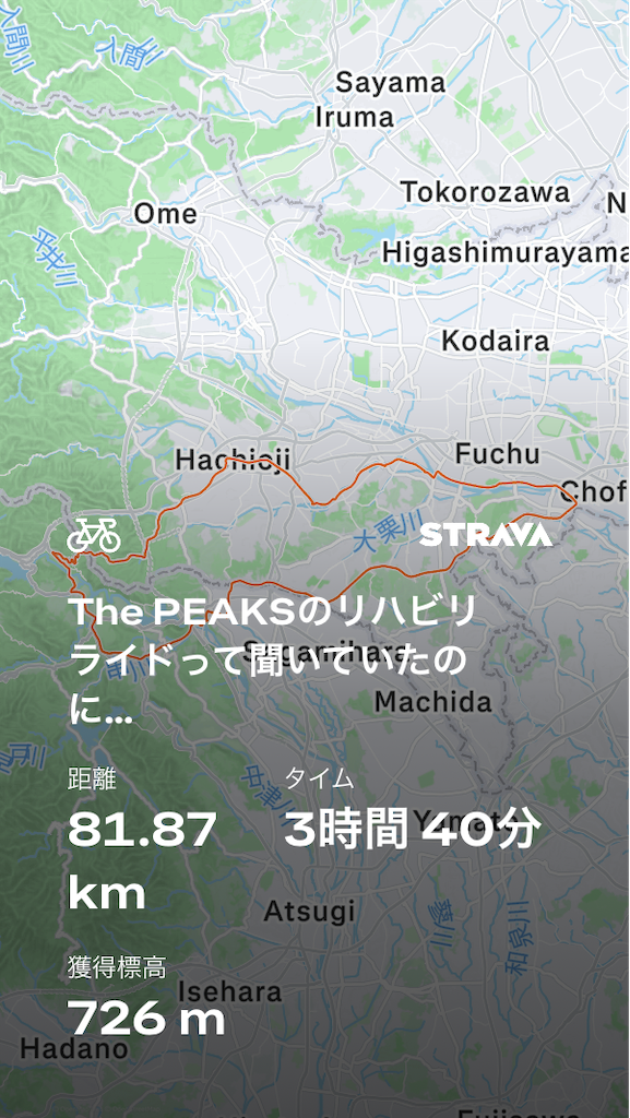 f:id:shingggggo:20260615184259p:image