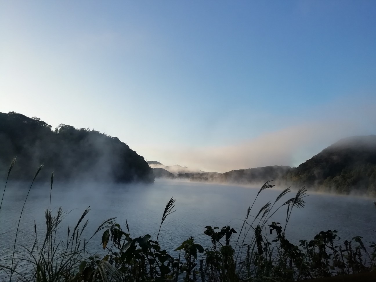f:id:shingo_shiraishi:20191116011717j:image