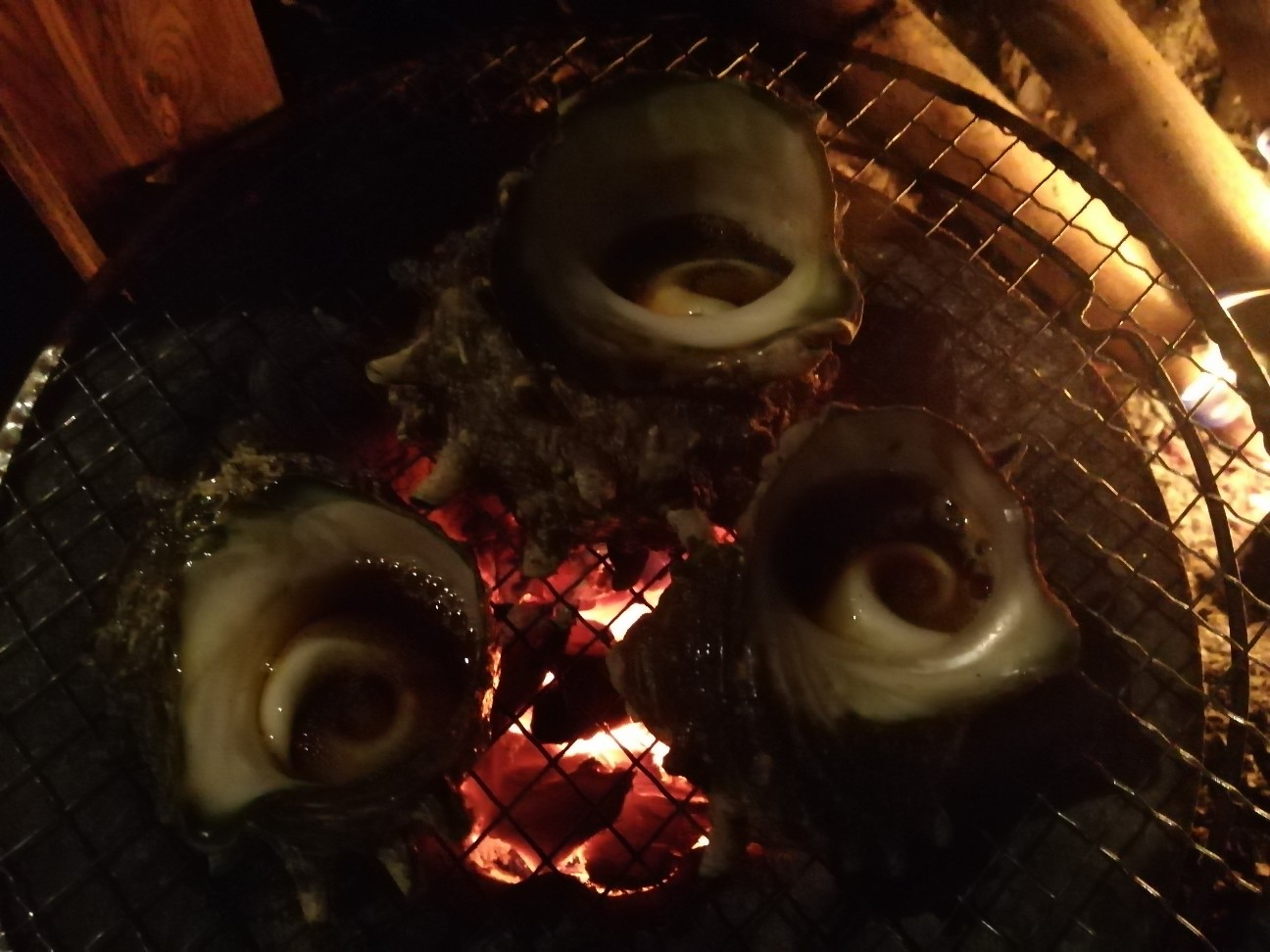 f:id:shingo_shiraishi:20191116012158j:image