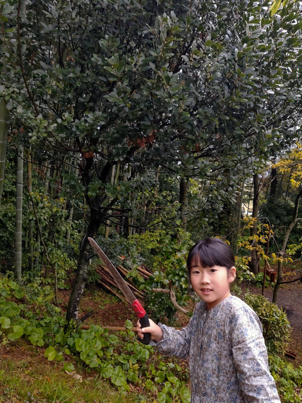 f:id:shingo_shiraishi:20200417213002j:image