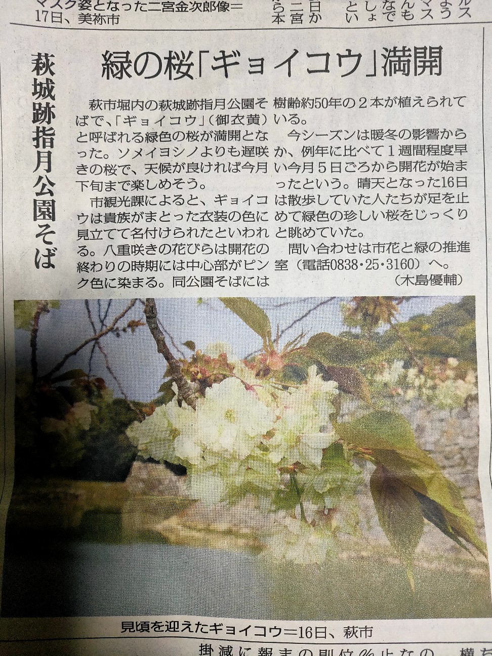 f:id:shingo_shiraishi:20200418231454j:image f:id:shingo_shiraishi:20200418231454j:image