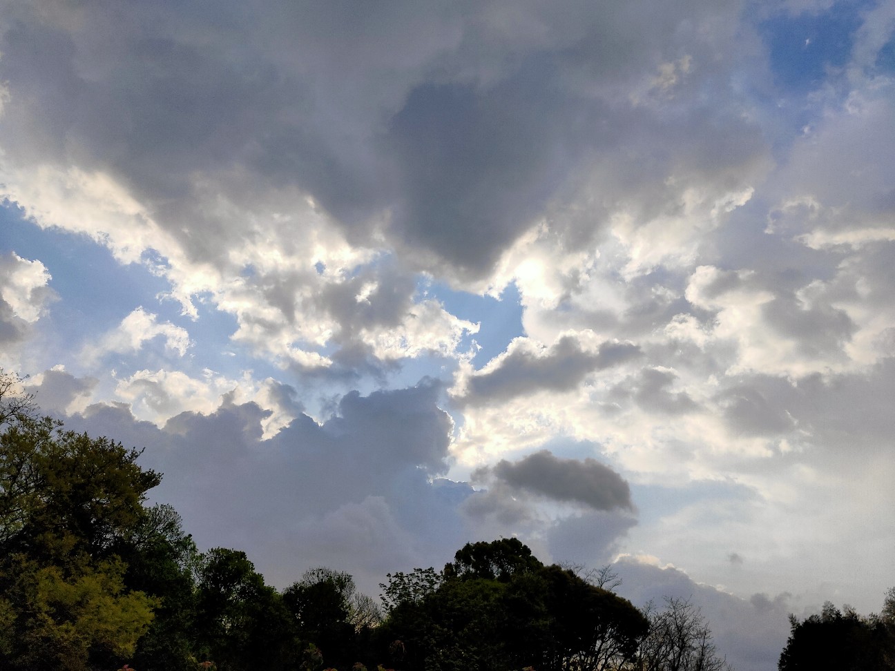 f:id:shingo_shiraishi:20200418231633j:image f:id:shingo_shiraishi:20200418231633j:image