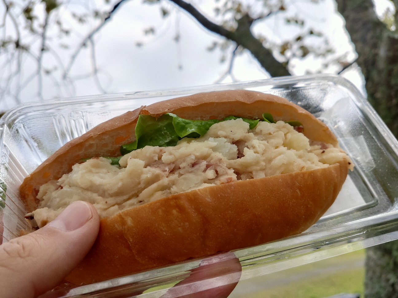 f:id:shingo_shiraishi:20200418232415j:image f:id:shingo_shiraishi:20200418232415j:image