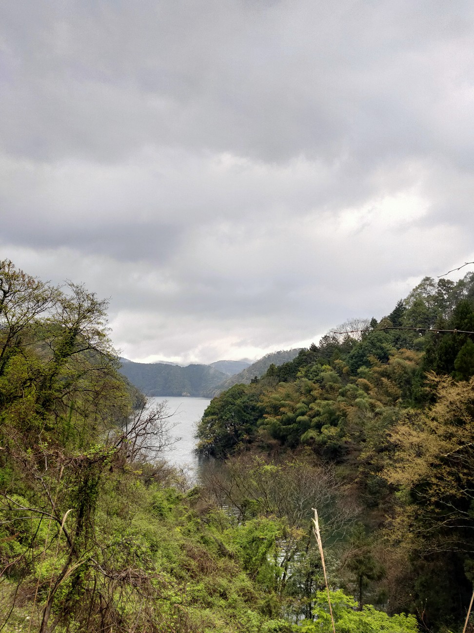 f:id:shingo_shiraishi:20200418232821j:image f:id:shingo_shiraishi:20200418232821j:image