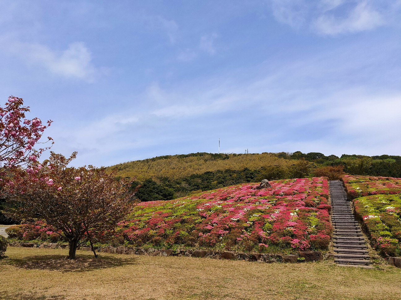 f:id:shingo_shiraishi:20200419201902j:image