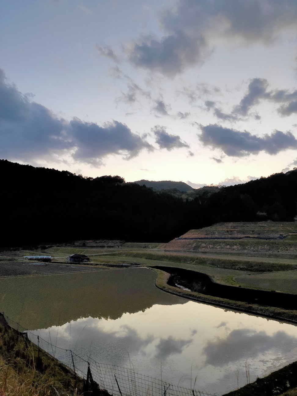 f:id:shingo_shiraishi:20200422213206j:image