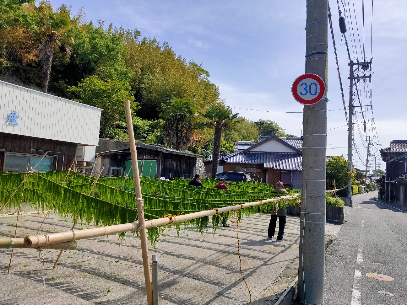 f:id:shingo_shiraishi:20200514213121j:image f:id:shingo_shiraishi:20200514213121j:image