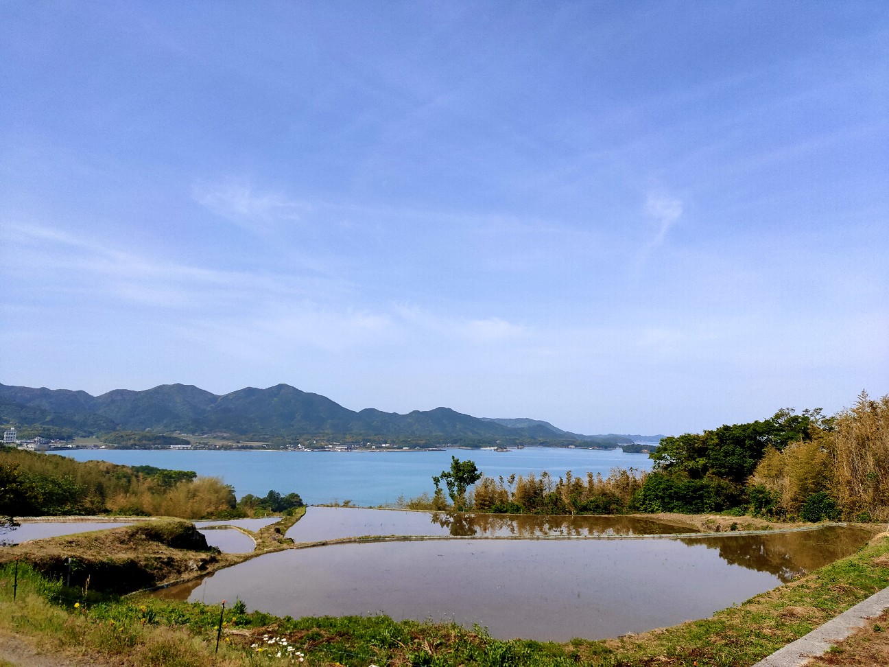 f:id:shingo_shiraishi:20200514213146j:image f:id:shingo_shiraishi:20200514213146j:image