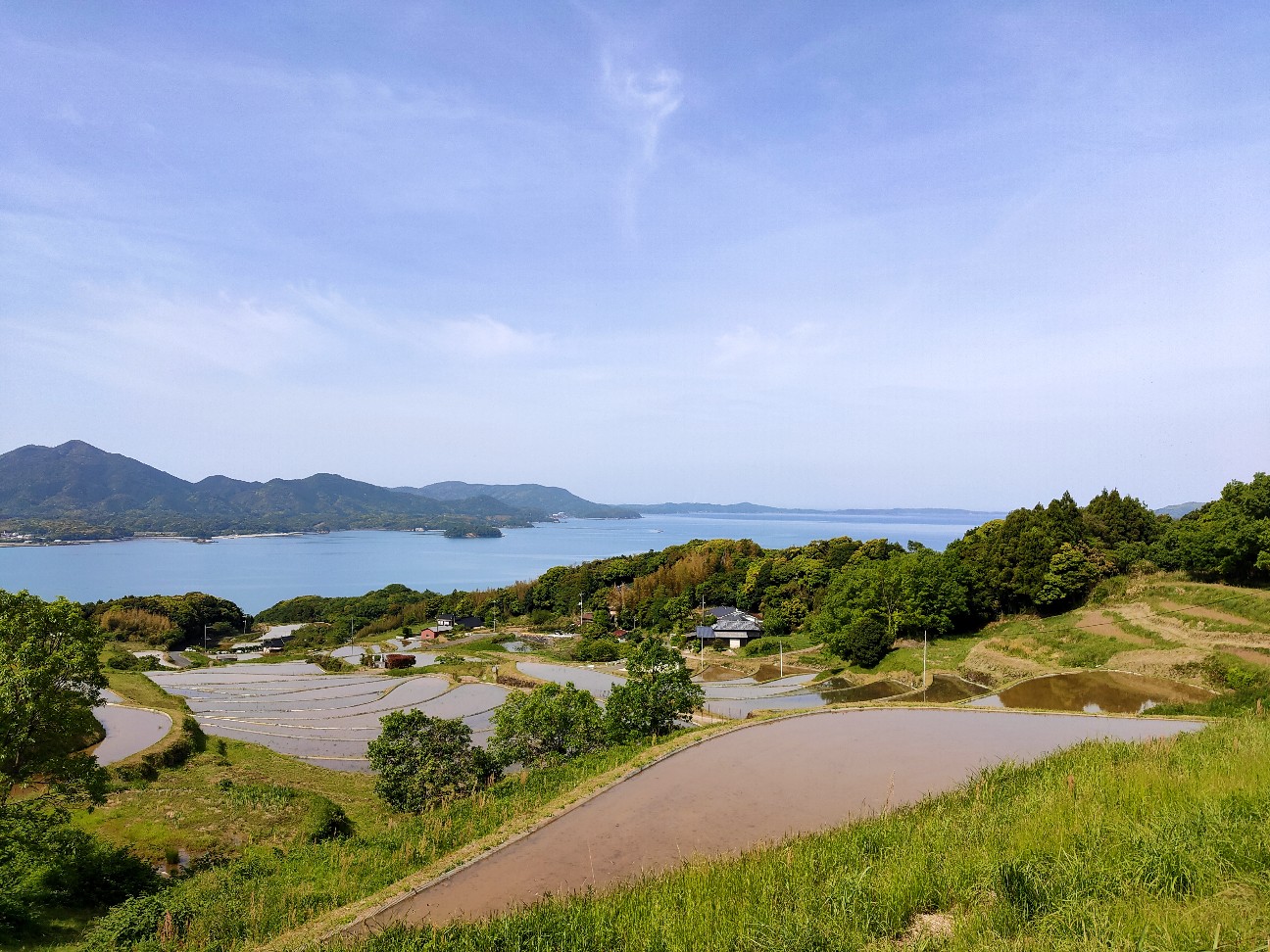 f:id:shingo_shiraishi:20200514213657j:image f:id:shingo_shiraishi:20200514213657j:image