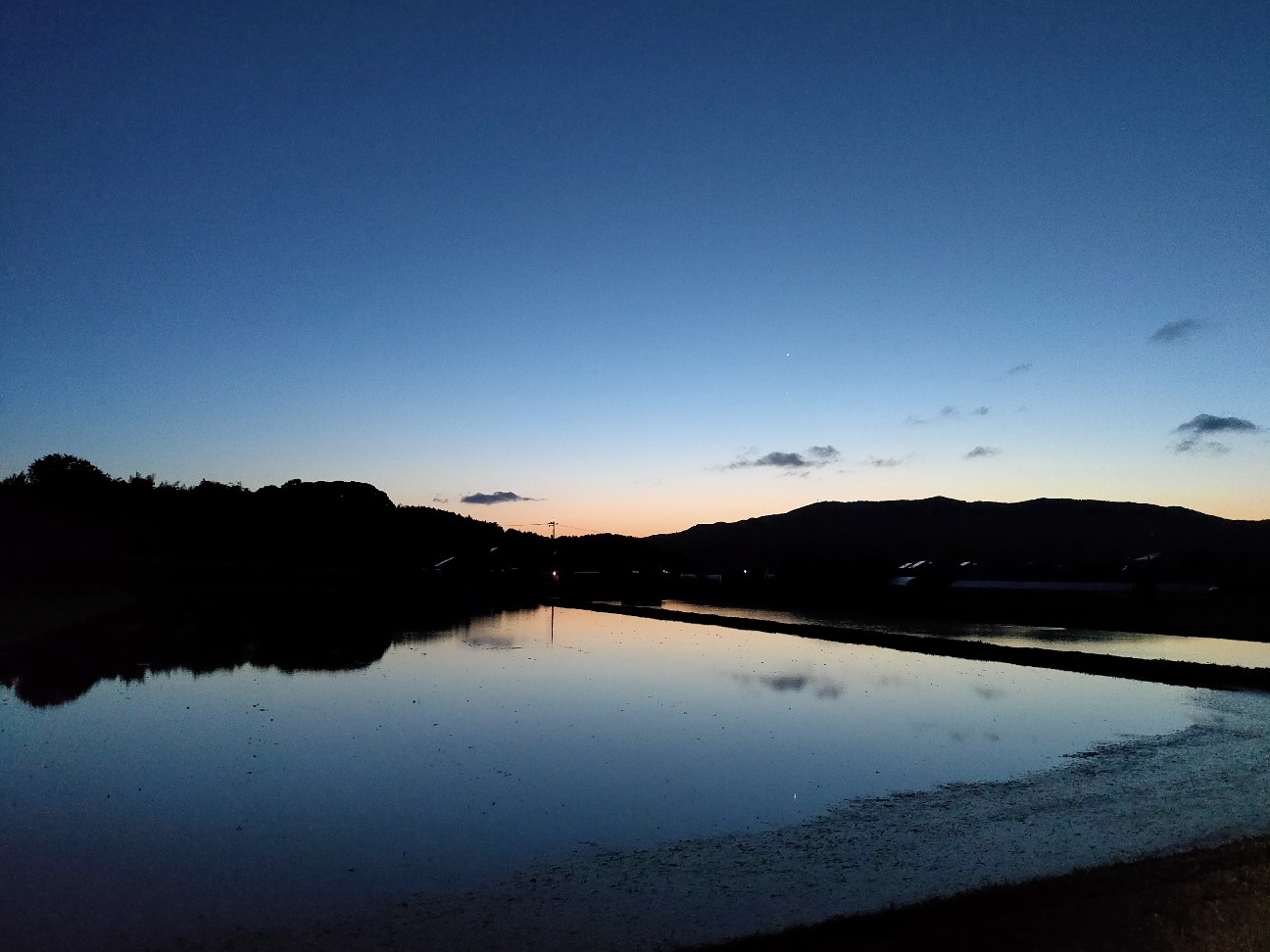 f:id:shingo_shiraishi:20200521212945j:image