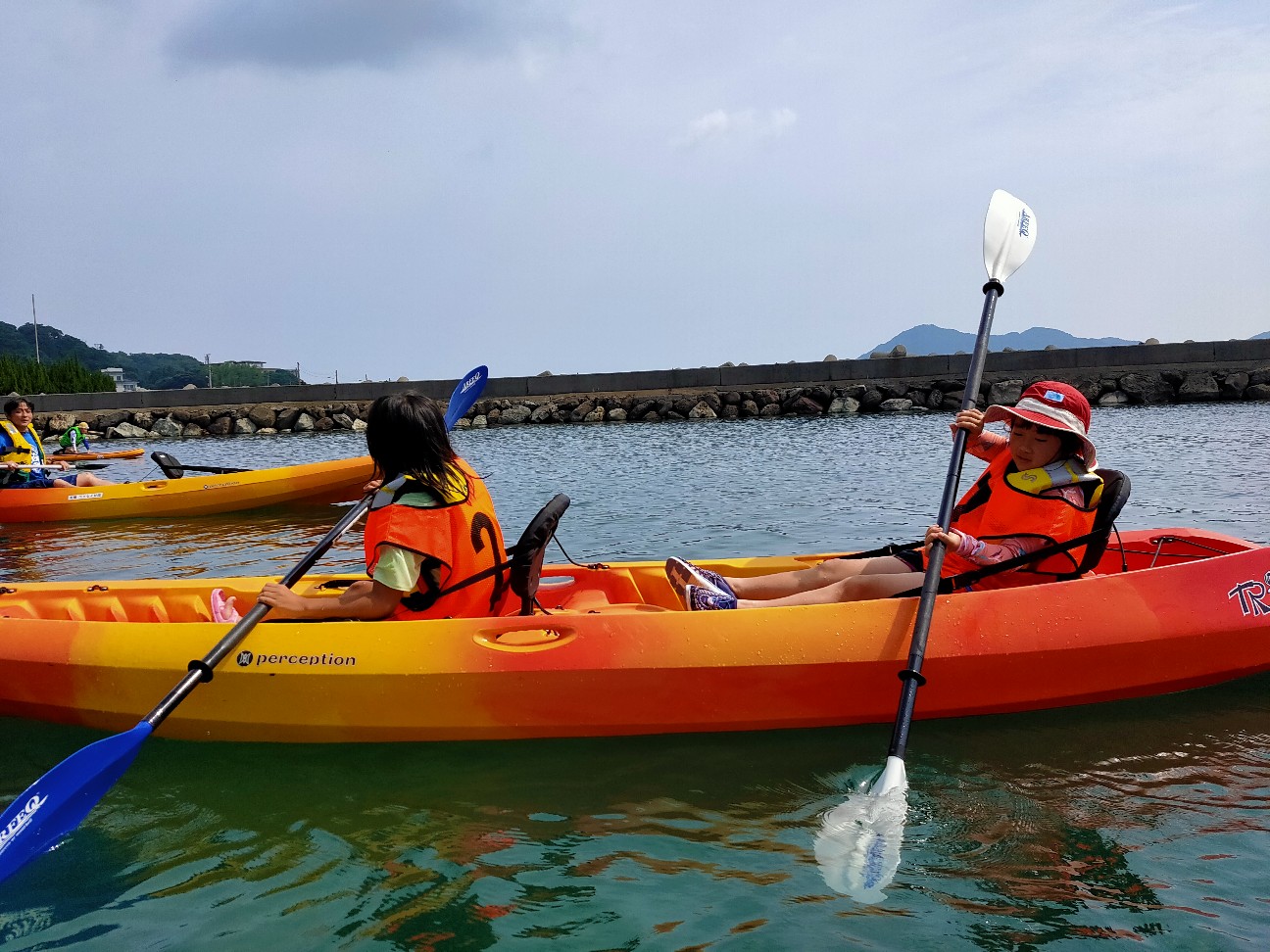 f:id:shingo_shiraishi:20200802173141j:image f:id:shingo_shiraishi:20200802173141j:image