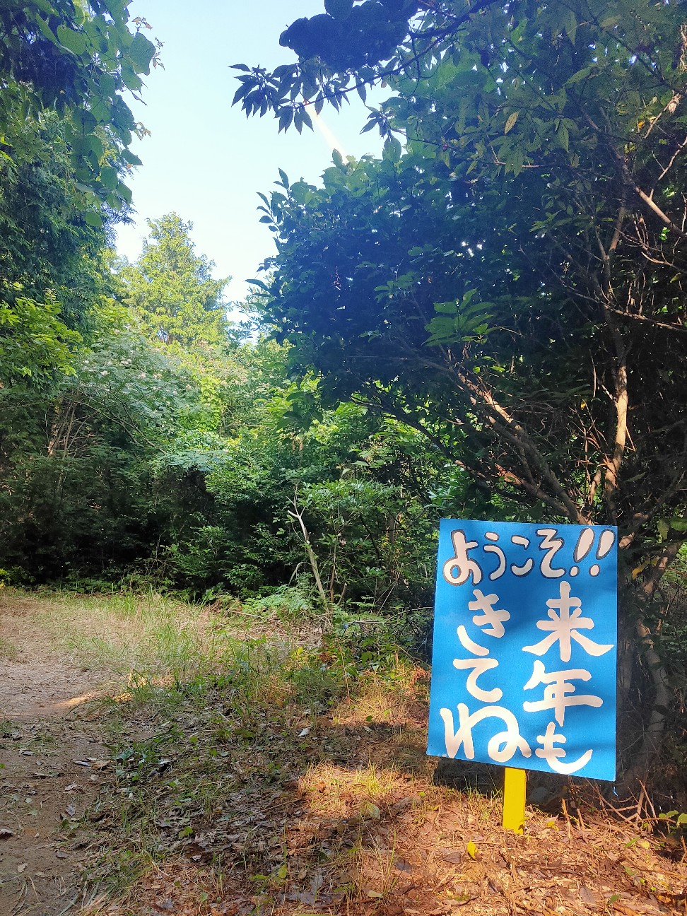 f:id:shingo_shiraishi:20200802173531j:image f:id:shingo_shiraishi:20200802173531j:image