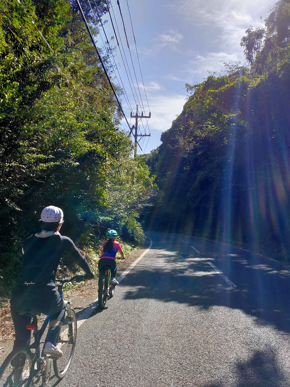 f:id:shingo_shiraishi:20201025195501j:image