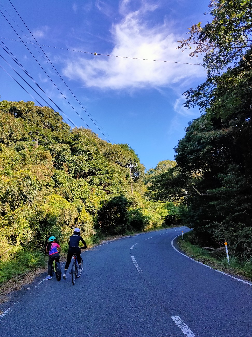f:id:shingo_shiraishi:20201025195528j:image