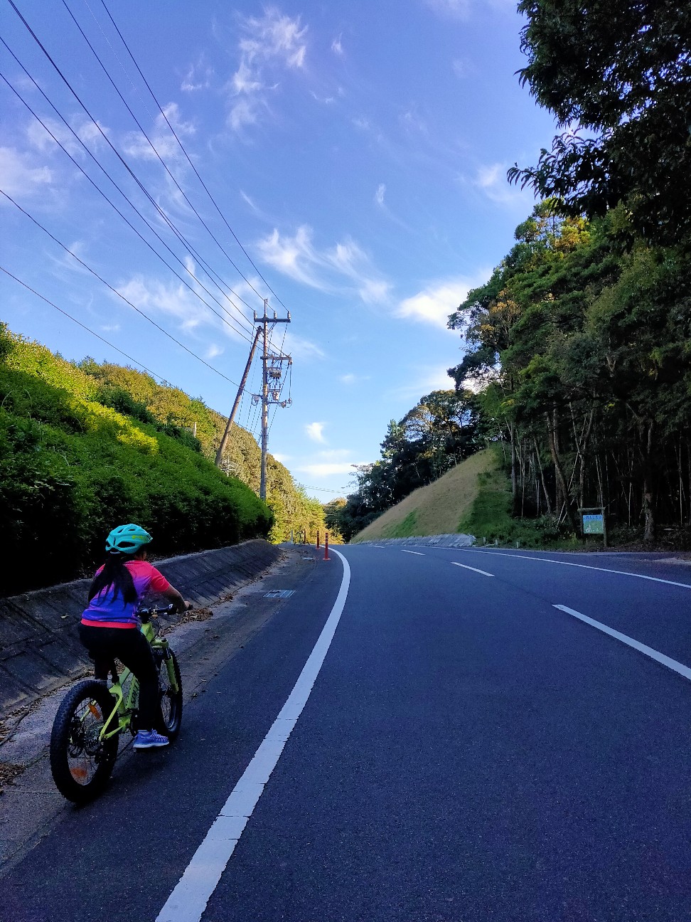 f:id:shingo_shiraishi:20201025195548j:image