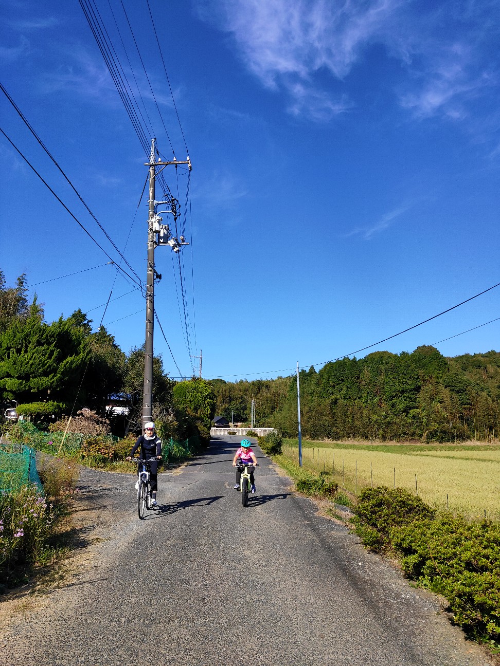 f:id:shingo_shiraishi:20201025195620j:image